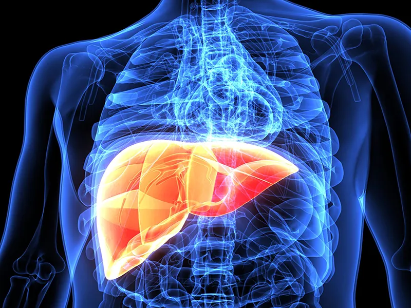 Giải độc hoặc làm sạch có thực sự giúp gan của bạn không?