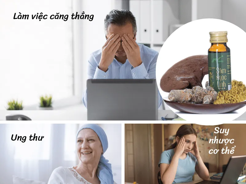 Những ai nên uống nước uống rễ tơ Sâm Ngọc Linh?