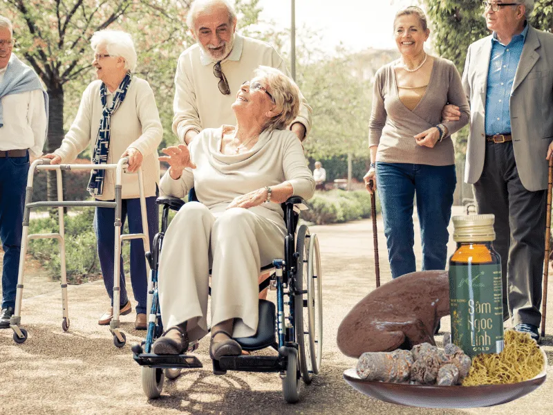 Những công dụng tuyệt vời của nước uống rễ tơ Sâm Ngọc Linh đối với người già