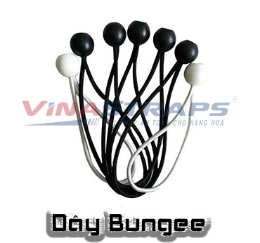 Dây bungee Provina Dây bungee Provina