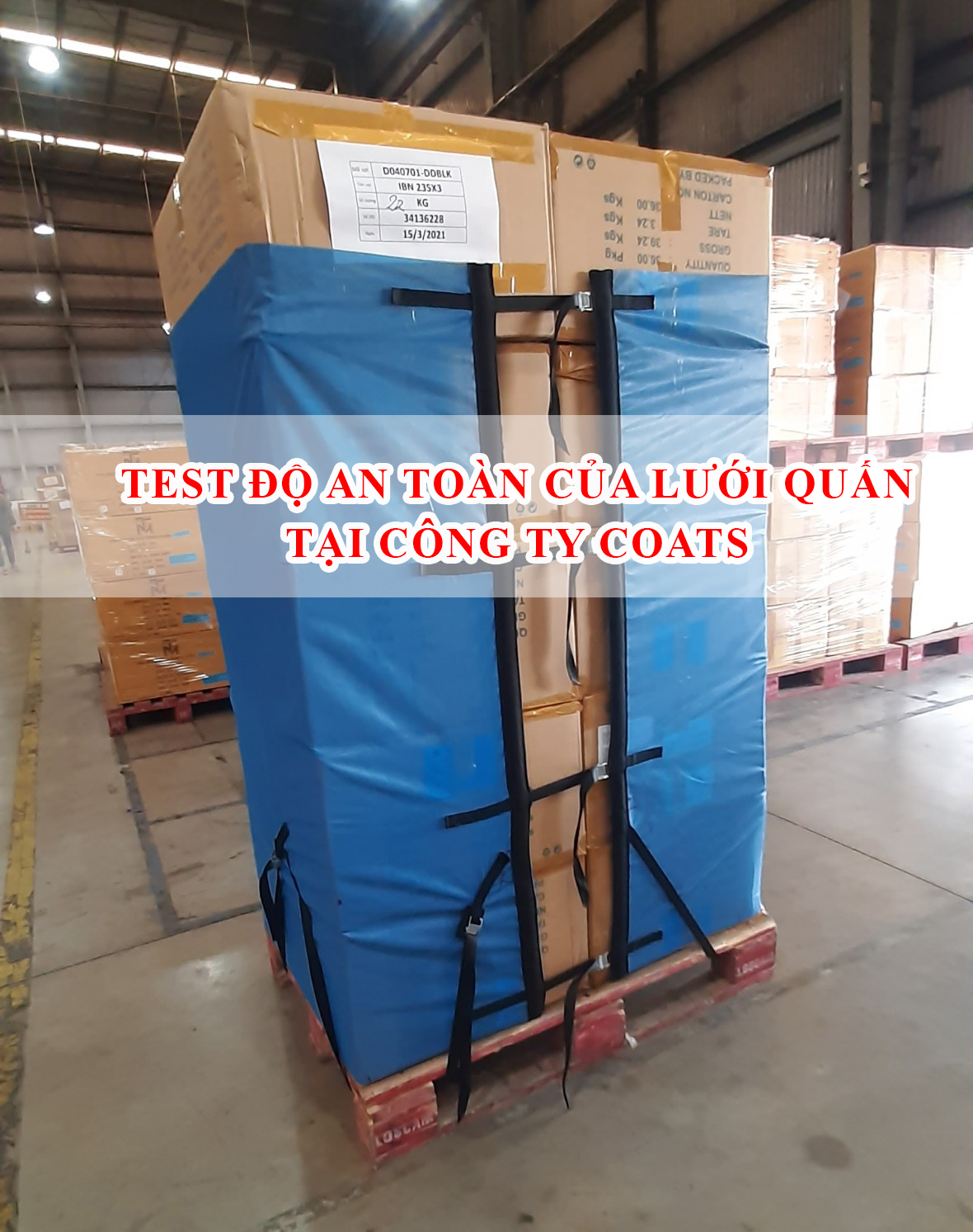 Test lưới quấn pallet tại công ty COATS Test lưới quấn pallet tại công ty COATS