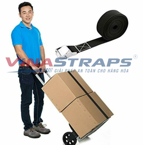 Tổng quan về dây chằng hàng khóa cam Tổng quan về dây chằng hàng khóa cam