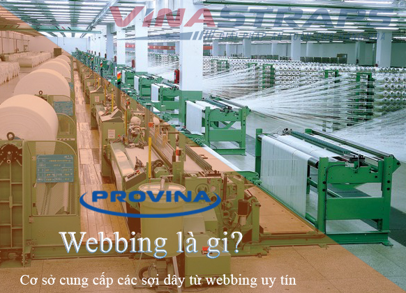 Webbing là gi? Webbing là gi?