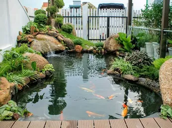 THIẾT KẾ TIỂU CẢNH SÂN VƯỜN SÁNG TẠO