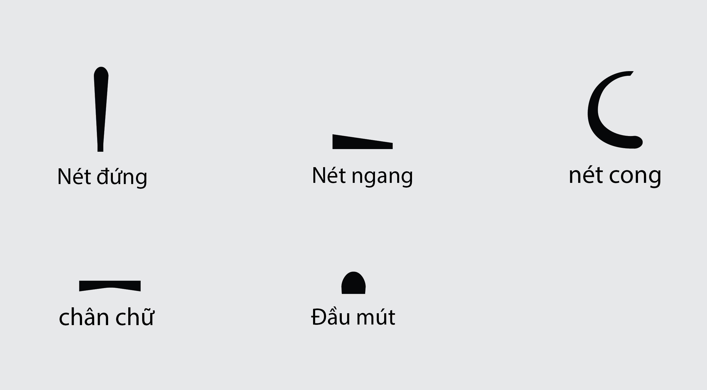 mô đun chữ