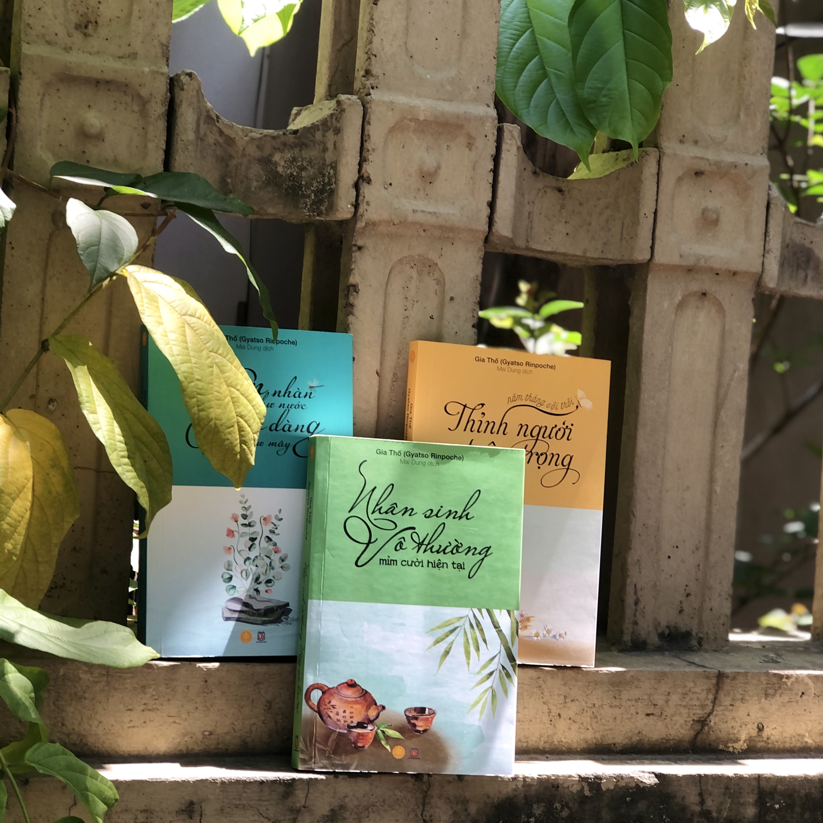 bìa sách An nhàn như nước, nhân sinh vô thường