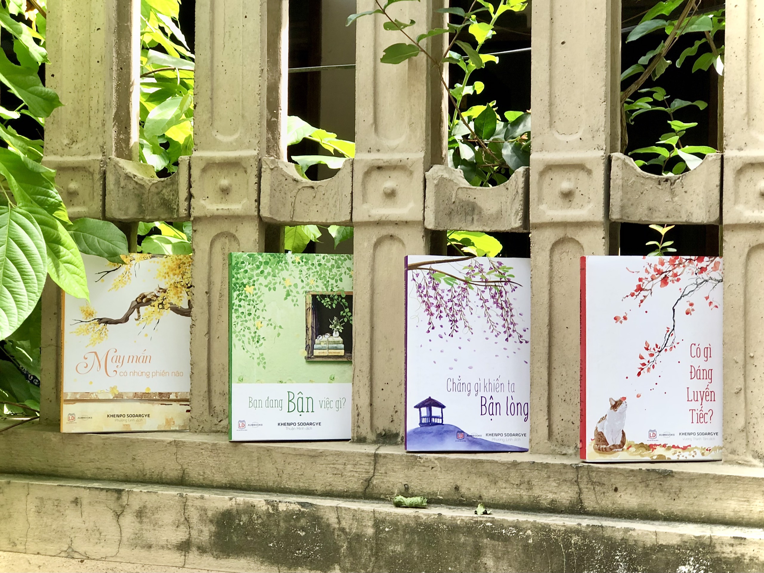 Thiết kế bìa sách An trú trong hiện tại