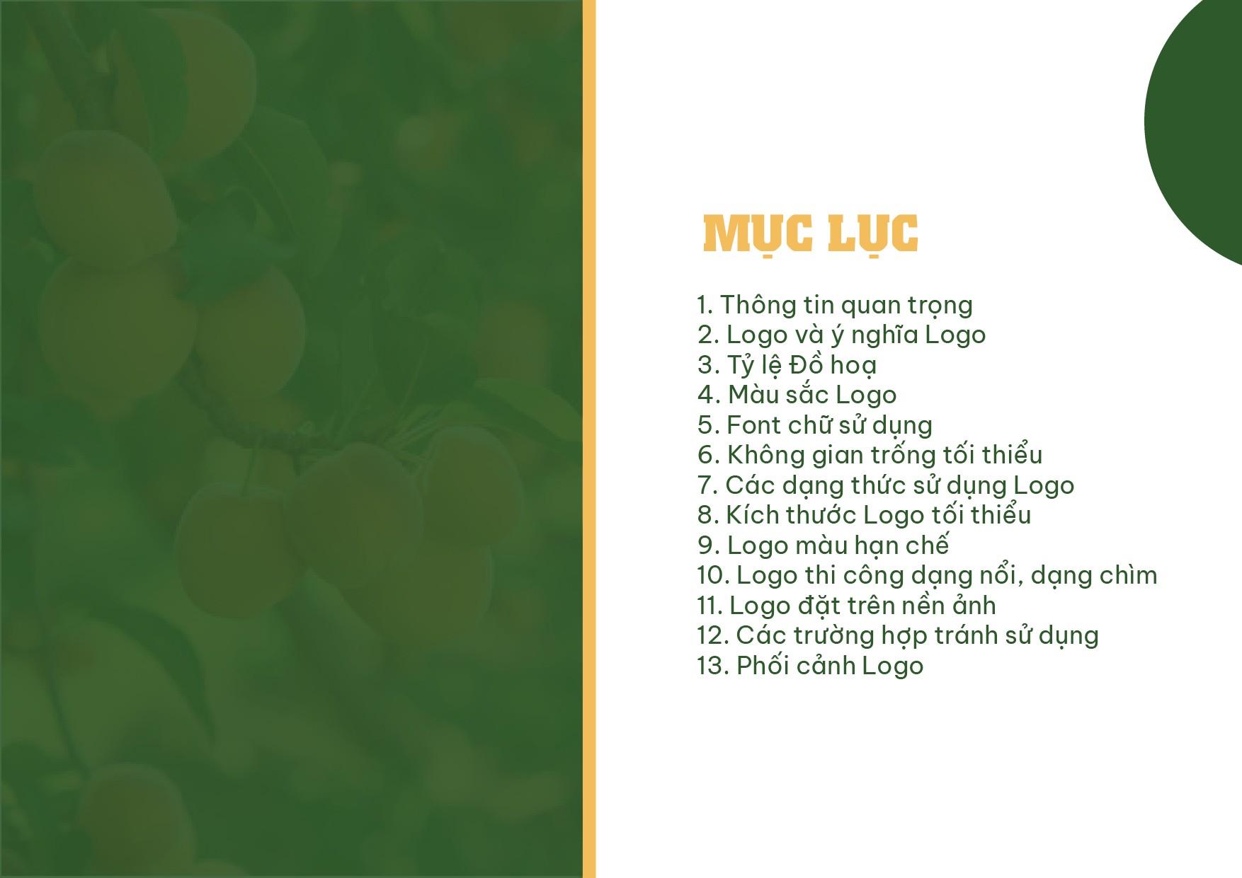 logo mascot ô mai nguyễn hữu ngọc idepho