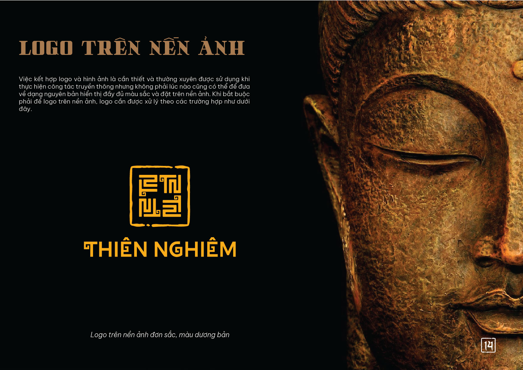 Thiết kế lo go Thiên Nghiêm