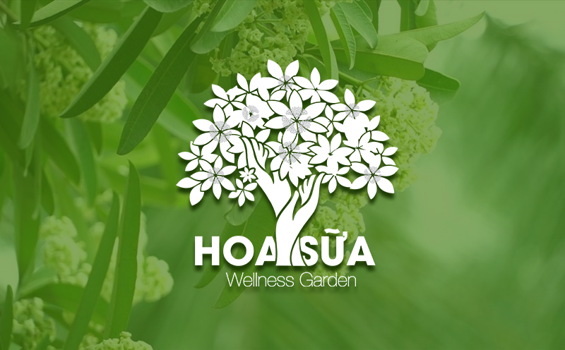 logo hoa sữa idepho