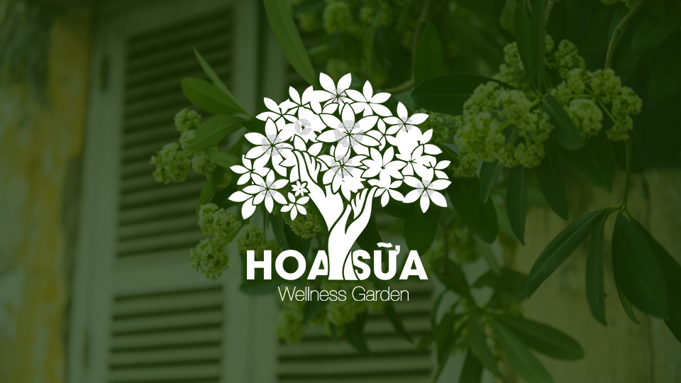 logo hoa sữa idepho