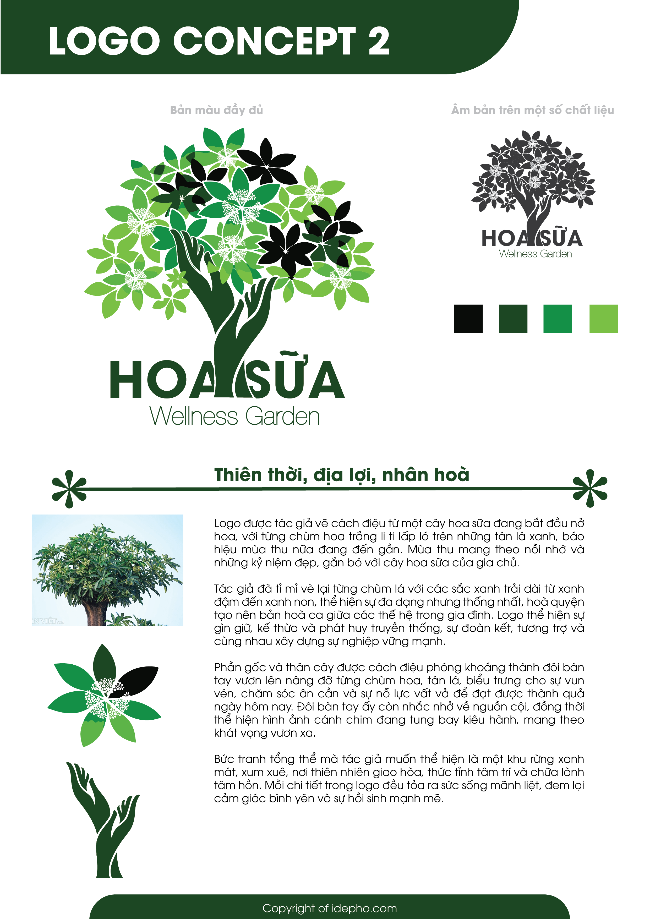 logo hoa sữa idepho