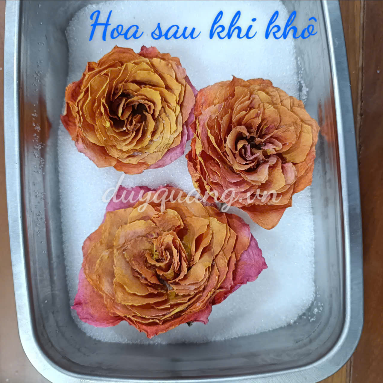 CÁT LÀM HOA KHÔ - SILICAGEL NHUYỄN LÀM HOA KHÔ