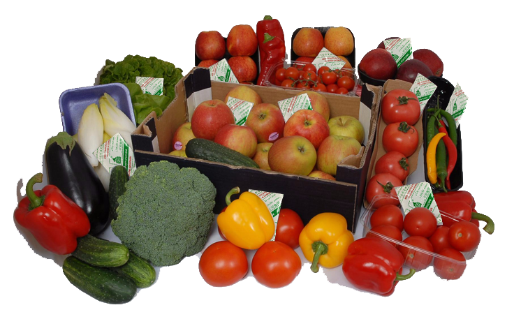 BÁN TÚI ETHYLEN BẢO QUẢN TRÁI CÂY TƯƠI- CHUỐI- XOÀI