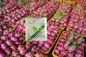 gói hút ethylen dùng cho thanh long gói hút ethylen dùng cho thanh long