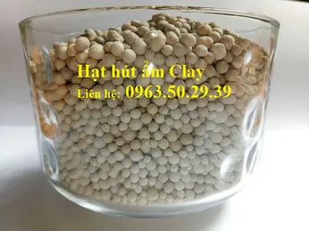  HẠT CHỐNG ẨM CLAY  -  CÔNG TY SẢN XUẤT HÚT ẨM DUY QUANG