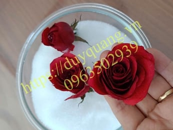 NƠI BÁN CÁT NHUYỄN LÀM HOA KHÔ- SILICAGEL NHUYỄN