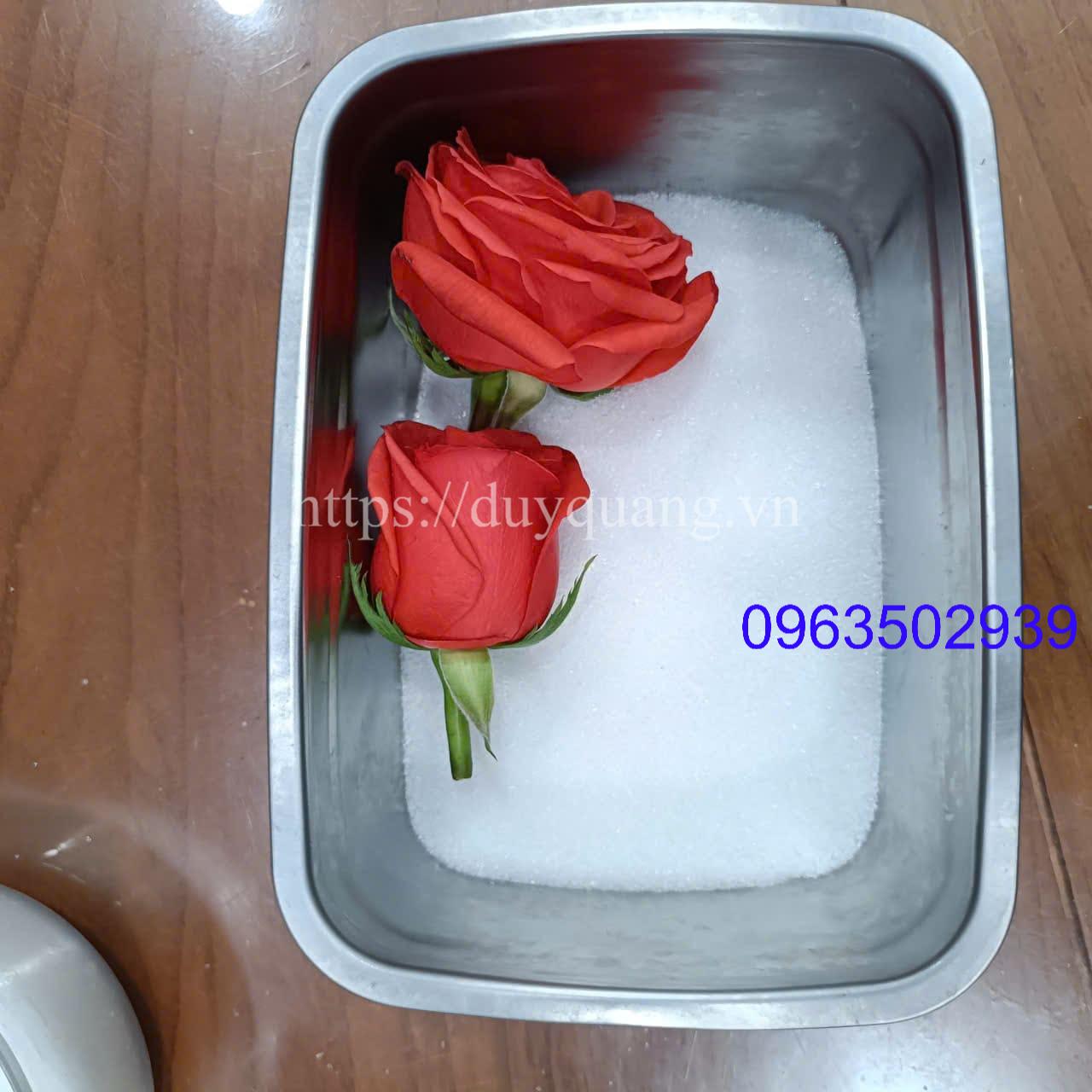 CÁCH LÀM HOA HỒNG KHÔ BẤT TỬ