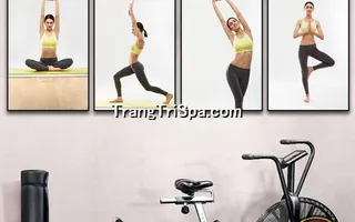 Mẫu Tranh Phòng Tập Yoga Thịnh Hành Treo Tường Trang Trí 