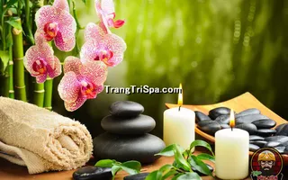 Tranh Hoa 3D Dán Tường Trang Trí Spa Phong Cách Đương Đại Và Sang Trọng 