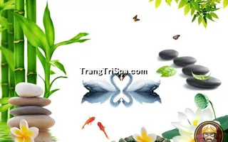 Tranh Hoa 3D Dán Tường Trang Trí Spa Phong Cách Đương Đại Và Sang Trọng 