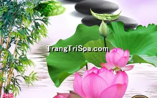 Tranh Hoa 3D Dán Tường Trang Trí Spa Phong Cách Đương Đại Và Sang Trọng 