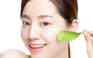 Tổng Hợp Tranh Treo Tường, Dán Tường Và Dán Kính Tiệm Spa Chăm Sóc Da - Body Thịnh Hành Nhất Hiện Nay