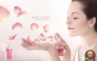 Tổng Hợp Tranh Dán Kính - Dán Tường - Treo Tường Tiệm Spa Sắc Đẹp Thu Hút Mọi Thực Khách 