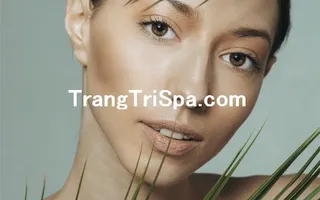 Tổng Hợp Tranh Dán Kính - Dán Tường - Treo Tường Tiệm Spa Sắc Đẹp Thu Hút Mọi Thực Khách 