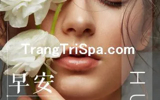 Tổng Hợp Tranh Dán Kính - Dán Tường - Treo Tường Tiệm Spa Sắc Đẹp Thu Hút Mọi Thực Khách 