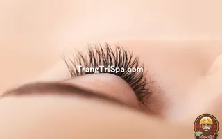 Tổng Hợp Tranh Tiệm Nối Mi - Phun Xăm Chân Mày Bằng Tranh Treo Tường, Dán Tường Và Dán Kính Phong Cách Đương Đại 