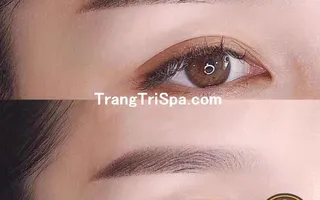 Tổng Hợp Tranh Tiệm Nối Mi - Phun Xăm Chân Mày Bằng Tranh Treo Tường, Dán Tường Và Dán Kính Phong Cách Đương Đại 