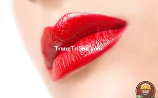 Tổng Hợp Tranh Trang Trí Tiệm Phun - Xăm Môi Thẩm Mỹ Bằng Tranh Treo Tường, Dán Tường Và Dán Kính Thu Hút Thực Khách