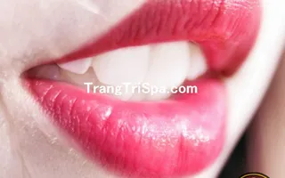 Tổng Hợp Tranh Trang Trí Tiệm Phun - Xăm Môi Thẩm Mỹ Bằng Tranh Treo Tường, Dán Tường Và Dán Kính Thu Hút Thực Khách