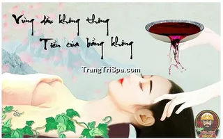 Tranh Gội đầu Dưỡng sinh Trung Hoa : Điểm nhấn nghệ thuật độc đáo cho không gian Spa