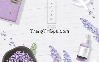 Mẫu Tranh Dán Tường Spa Kết Hợp Phong Cảnh Thiên Nhiên Tạo Sự Thẩm Mỹ Cao 