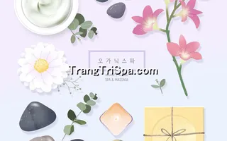 Mẫu Tranh Dán Tường Spa Kết Hợp Phong Cảnh Thiên Nhiên Tạo Sự Thẩm Mỹ Cao 