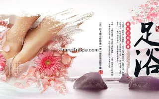 Tranh Dán Tường 3D Phòng Spa Phong Cách Trung Hoa Đem Đến Không Gian Sang Trọng Và Tinh Tế