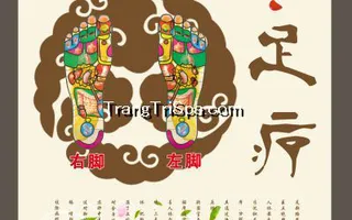 Tranh Dán Tường 3D Phòng Spa Phong Cách Trung Hoa Đem Đến Không Gian Sang Trọng Và Tinh Tế