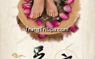 Tranh Dán Tường 3D Phòng Spa Phong Cách Trung Hoa Đem Đến Không Gian Sang Trọng Và Tinh Tế