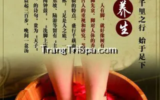 Tranh Dán Tường 3D Phòng Spa Phong Cách Trung Hoa Đem Đến Không Gian Sang Trọng Và Tinh Tế