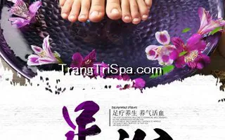 Tranh Dán Tường 3D Phòng Spa Phong Cách Trung Hoa Đem Đến Không Gian Sang Trọng Và Tinh Tế