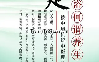 Tranh Dán Tường 3D Phòng Spa Phong Cách Trung Hoa Đem Đến Không Gian Sang Trọng Và Tinh Tế