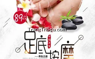 Tranh Dán Tường 3D Phòng Spa Phong Cách Trung Hoa Đem Đến Không Gian Sang Trọng Và Tinh Tế