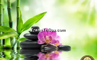 Mẫu Tranh Dán Tường 3D Tiệm Spa Kết Hợp Thảo Mộc Thể Hiện Sự Sang Trọng Và Đẳng Cấp Thẩm Mỹ 