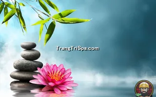 Mẫu Tranh Dán Tường 3D Tiệm Spa Kết Hợp Thảo Mộc Thể Hiện Sự Sang Trọng Và Đẳng Cấp Thẩm Mỹ 