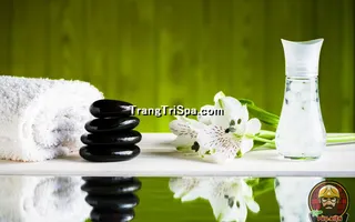 Mẫu Tranh Dán Tường 3D Tiệm Spa Kết Hợp Thảo Mộc Thể Hiện Sự Sang Trọng Và Đẳng Cấp Thẩm Mỹ 
