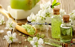 Mẫu Tranh Dán Tường 3D Tiệm Spa Kết Hợp Thảo Mộc Thể Hiện Sự Sang Trọng Và Đẳng Cấp Thẩm Mỹ 