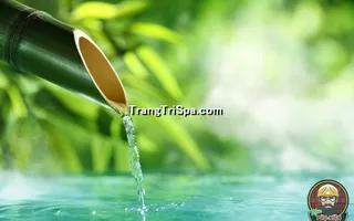 Mẫu Tranh Dán Tường 3D Tiệm Spa Kết Hợp Thảo Mộc Thể Hiện Sự Sang Trọng Và Đẳng Cấp Thẩm Mỹ 