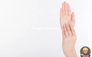 Tổng Hợp Tranh Treo Tường - Dán Tường - Dán Kính Tiệm Chăm Sóc Body Đầy Tính Tinh Tế Và Nghệ Thuật